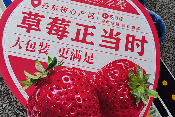 KT板方案